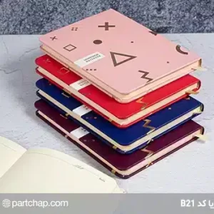 Daria notebook code B21